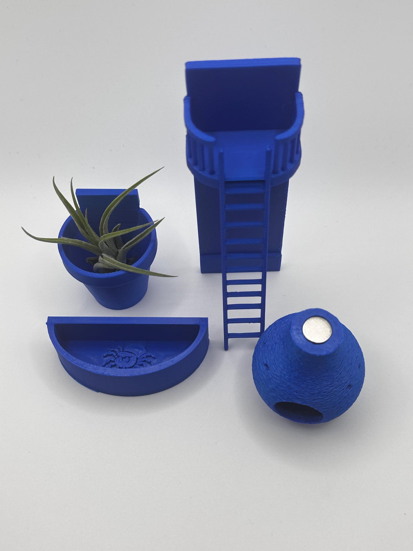 Balcony Décor – Premium Jumping Spider & Small Pet Decor