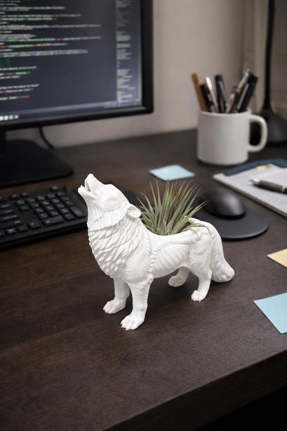 Howling Wolf Air Plant Planter