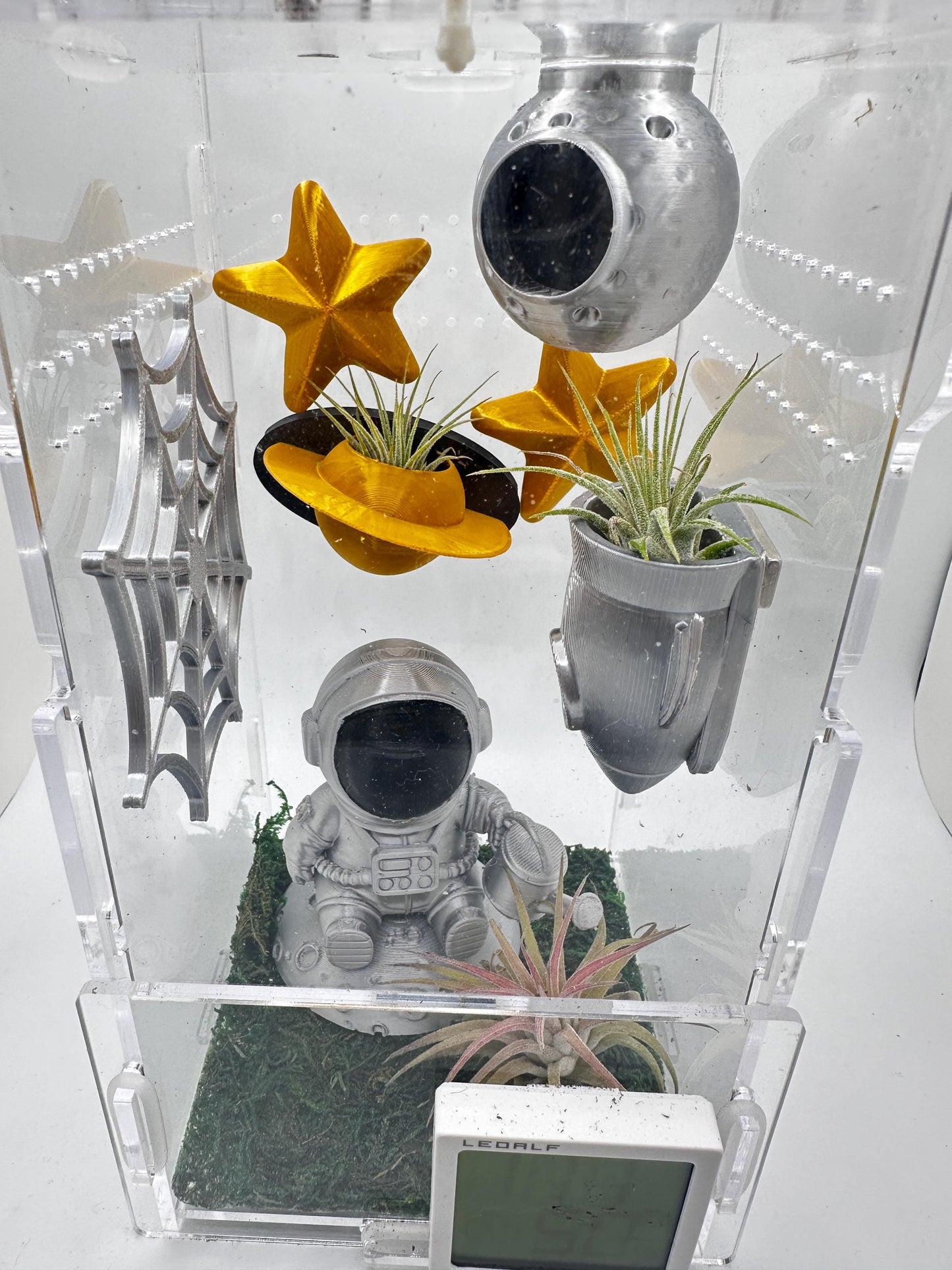 New Space Theme | JUMPING SPIDERS