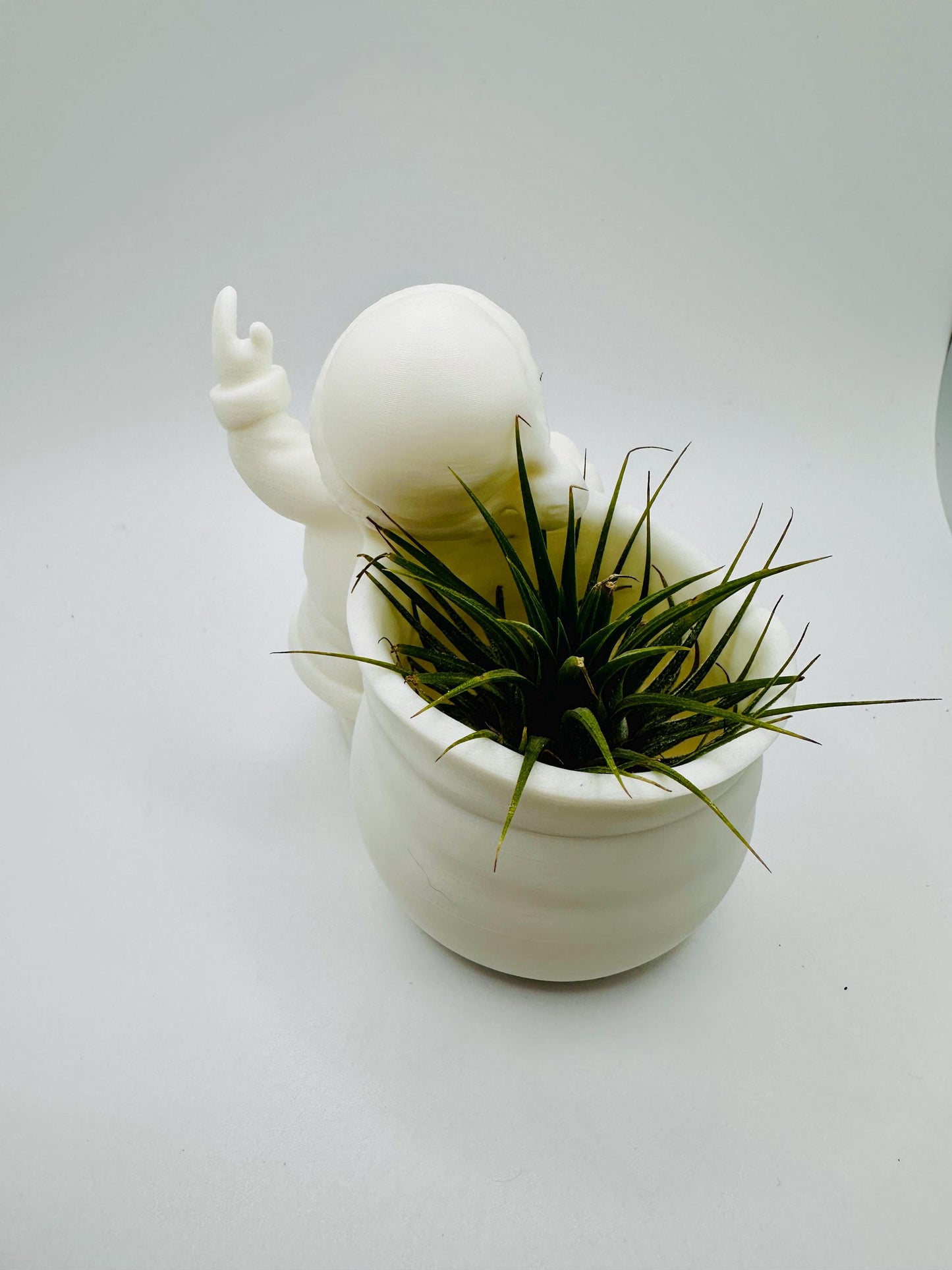Santa Planter | Perfect for Air plants or Succulents
