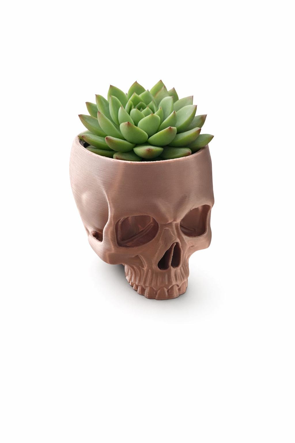 Skull Planter – 3D Printed - Inspired Decor