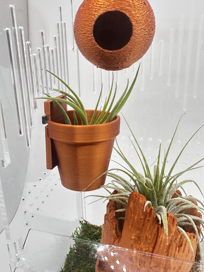 Classic Wall Planter | Magnetic | Jumping Spiders | Enclosure Accessories