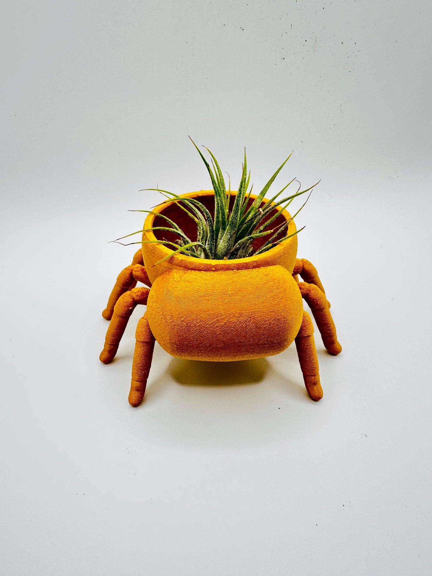 Jumping Spider Planter