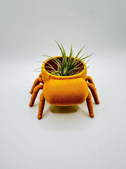 Jumping Spider Planter