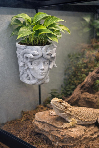 Medusa Planter | sized for REPTILES | Magnetic | Plant Add-ons