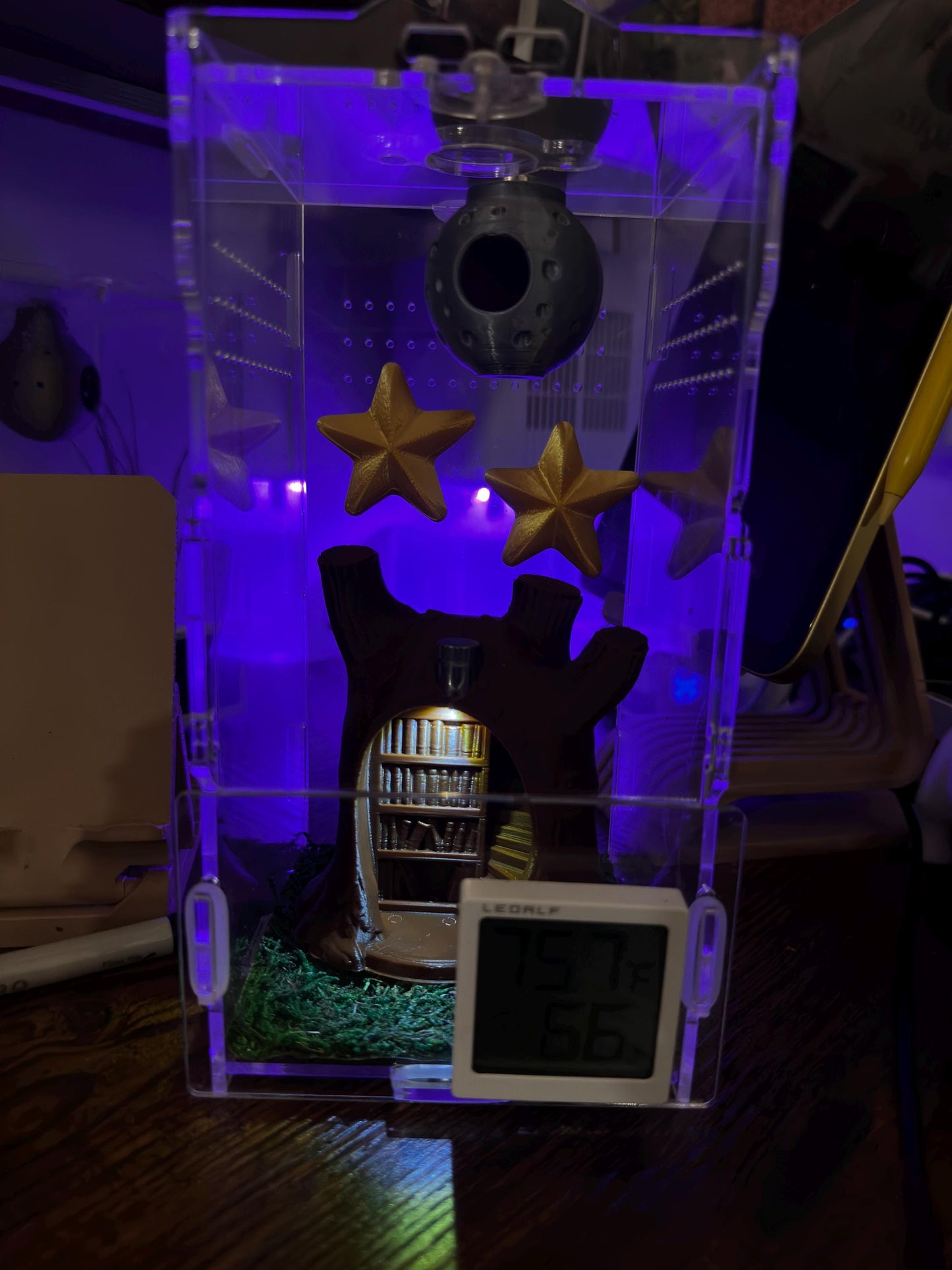 Library Treehouse with Lightbulb.