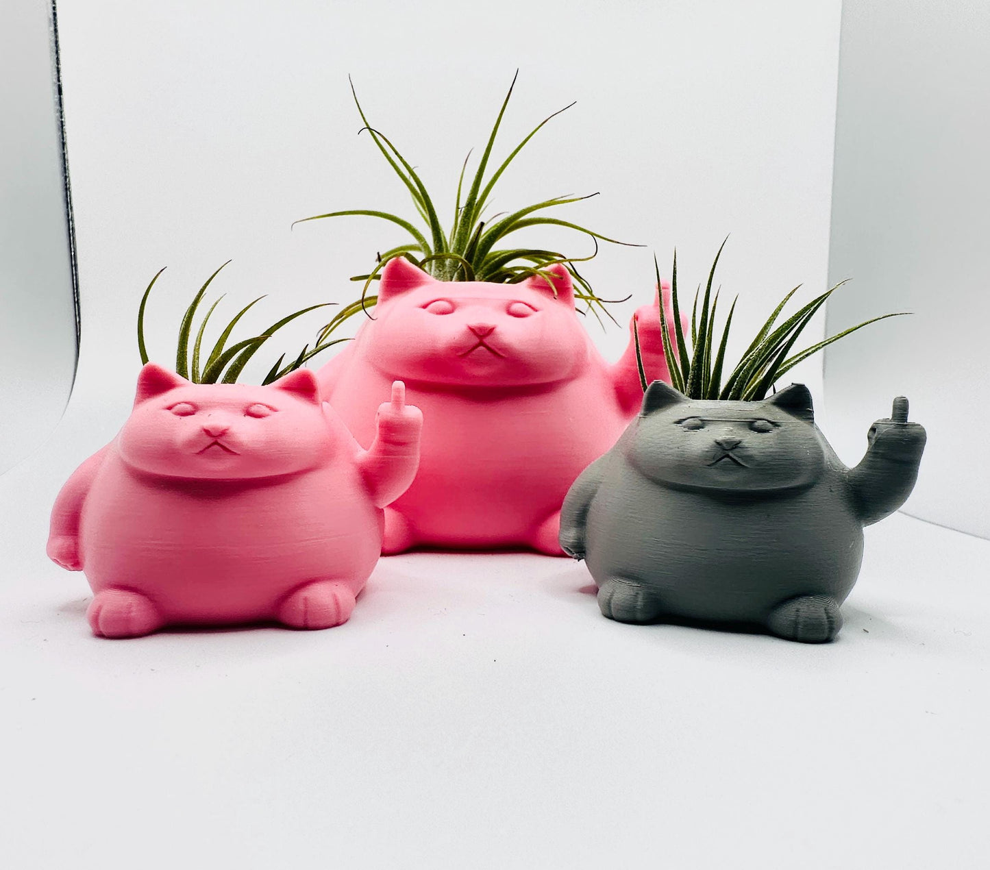 Angry Fat Cat Planter Décor | Perfect for Airplants or Succulents