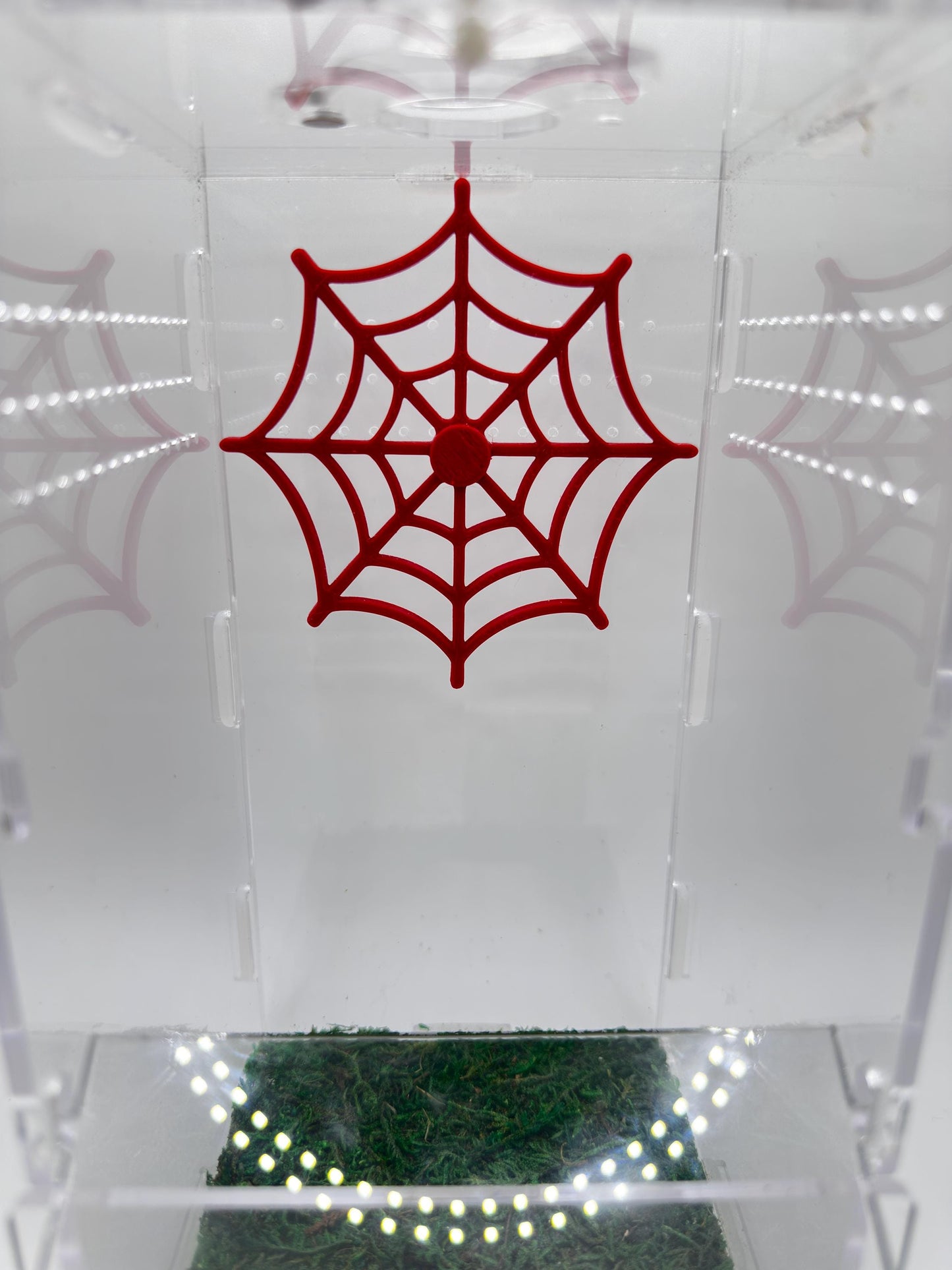 Magnetic Spider Web | Enclosure Wall Decor
