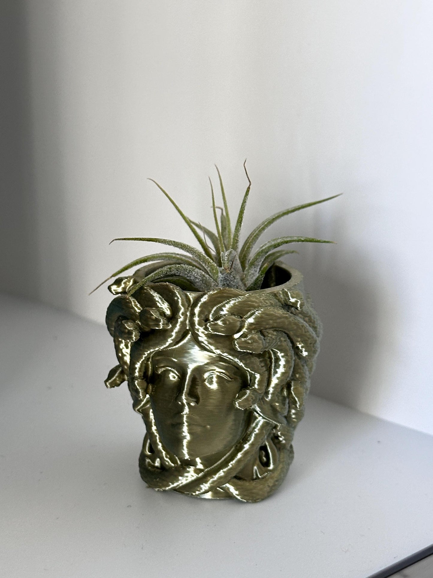 Magnetic Medusa Wall Planter | Enclosure Decor | Jumping Spiders