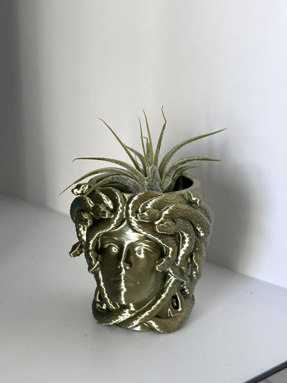 Magnetic Medusa Wall Planter | Enclosure Decor | Jumping Spiders