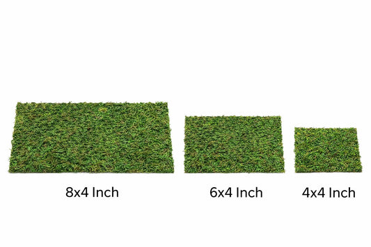 Dried Moss Carpeting for Jumping Spiders & Reptiles (more sizes,better quality)