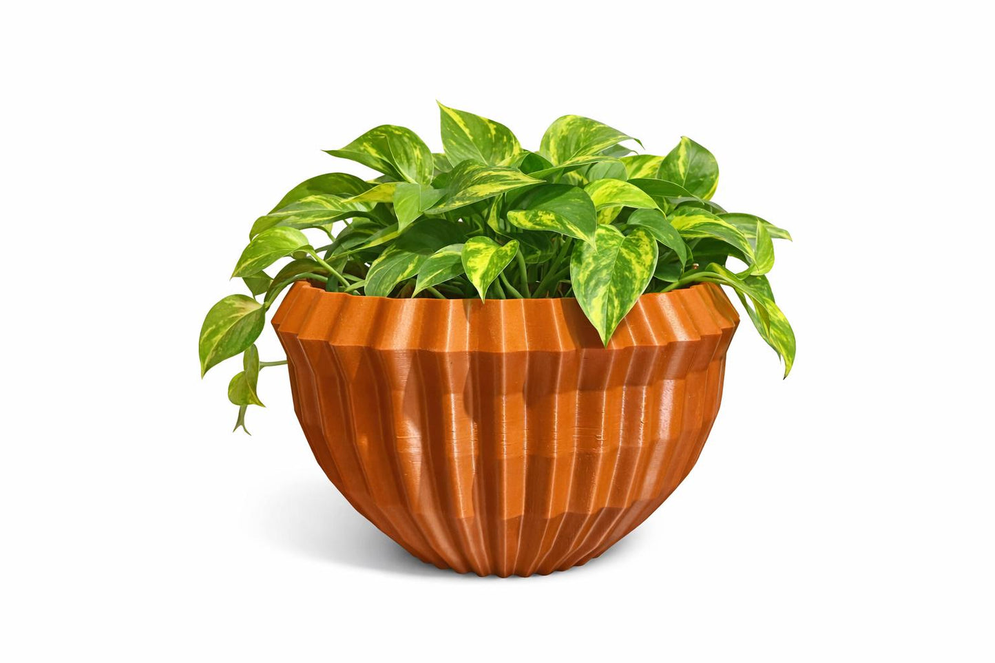 Modern Ripple Planter | 3D Printed | Plant Add-ons -