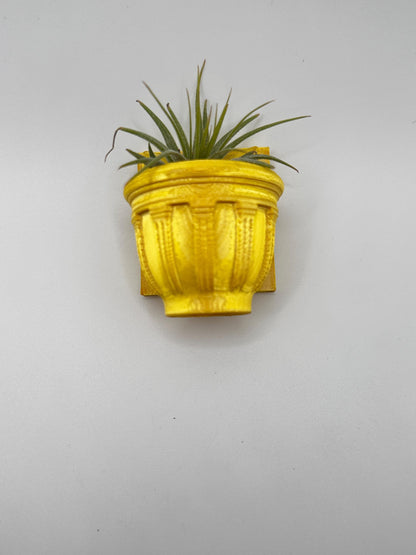 Greco-Roman Magnetic Wall Planter | Pet decor | Terrariums | Jumping Spider