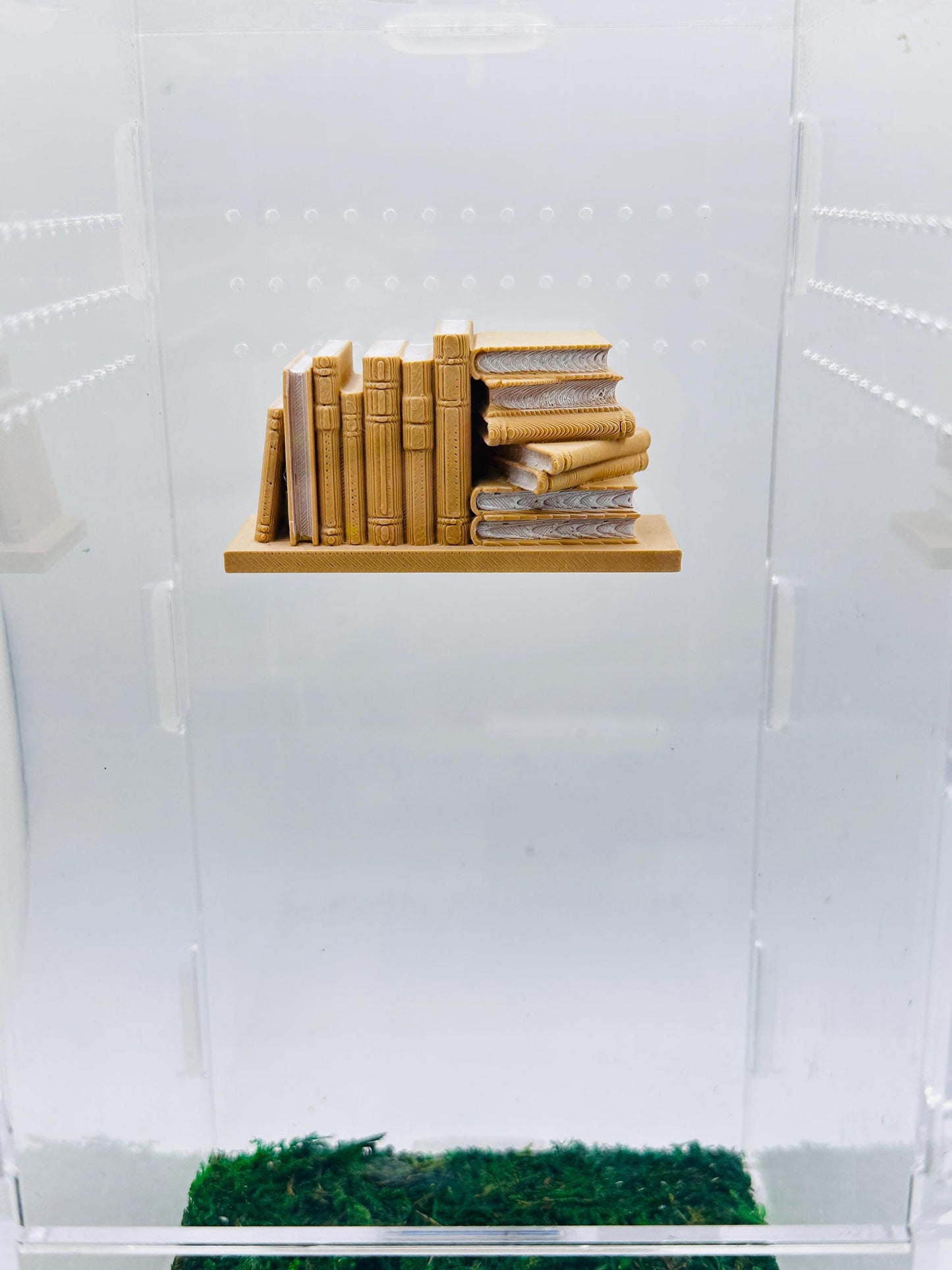 Magnetic Tiny Book Shelf | Enclosure Wall Decor