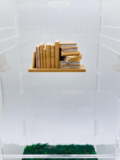 Magnetic Tiny Book Shelf | Enclosure Wall Decor