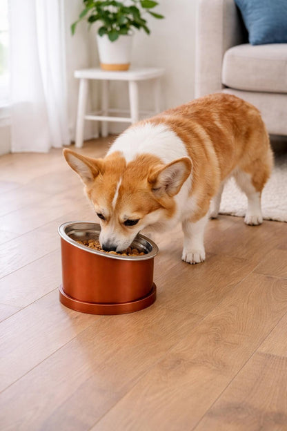 Elevated Pet Bowl  + Stand | Customizable | Any Color