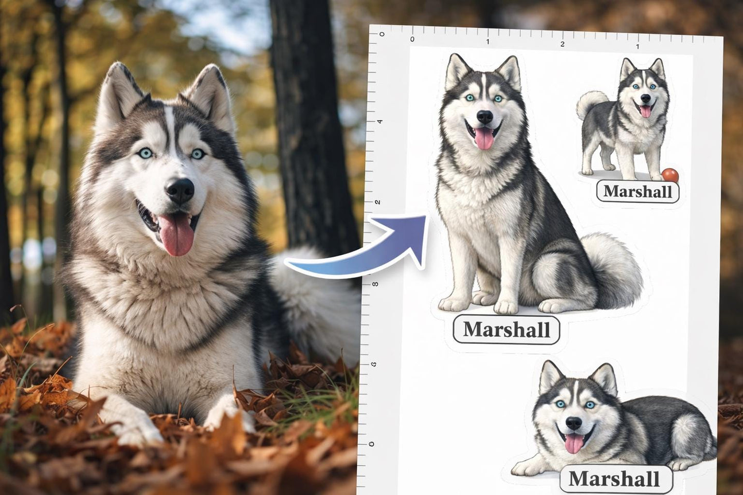 CUSTOM DOG STICKERS | Waterproof Quality Decal Stickers