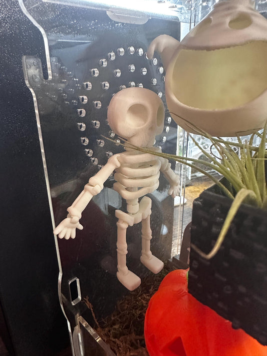 Flexi Skeleton | Magnetic for Jumping Spider & Tiny Pet Enclosures