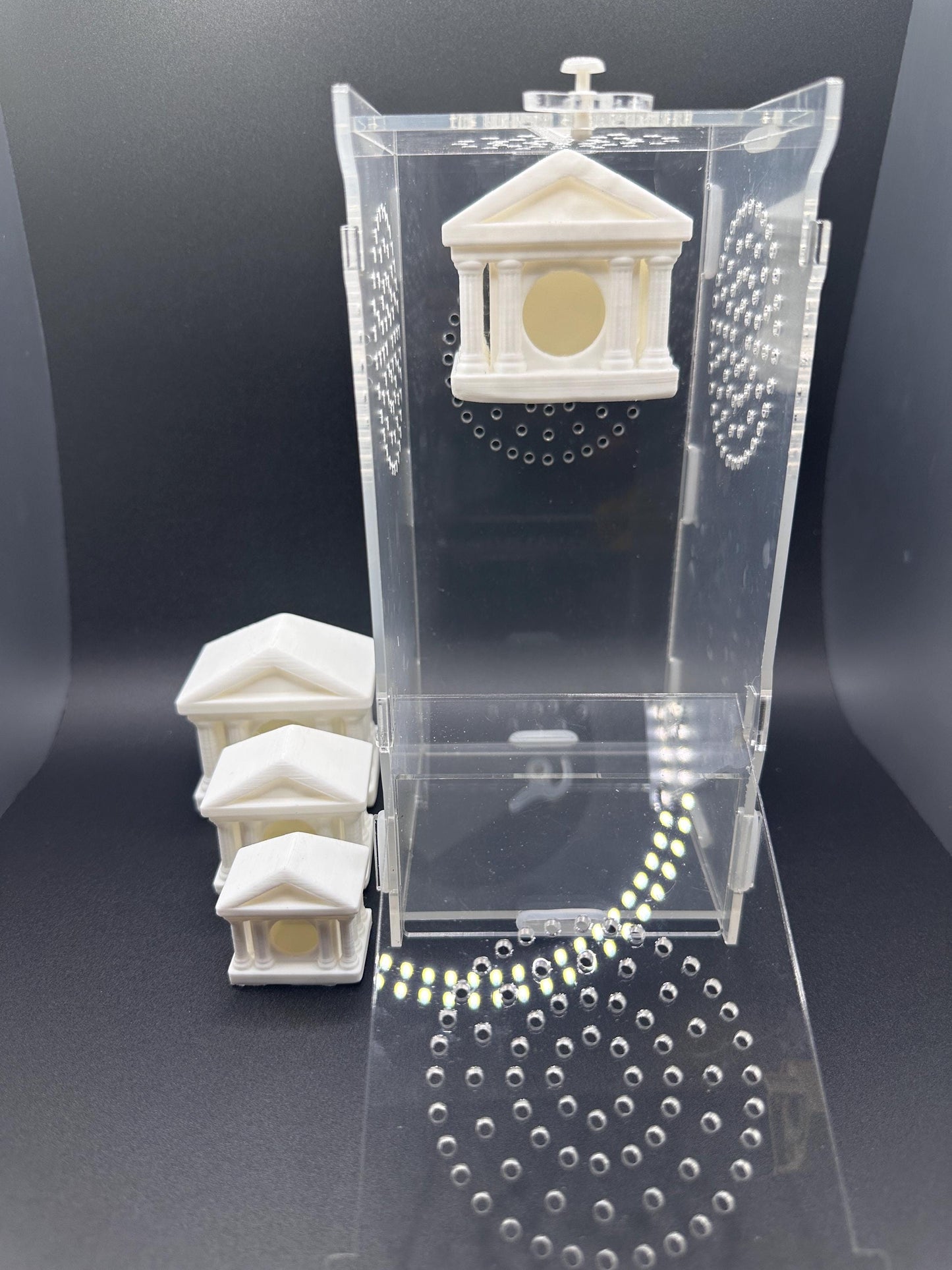 Jumping Spider Themed Pods – Magnetic Wall-Mounted Hide