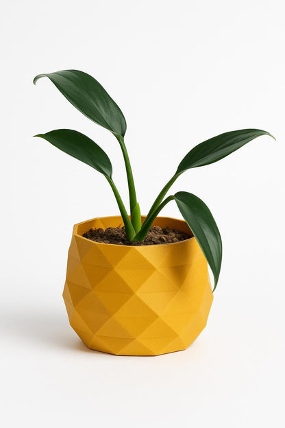 Geometric Modern Stle Planter