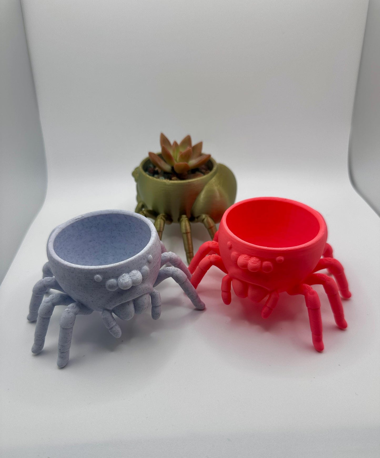 Jumping Spider Planter