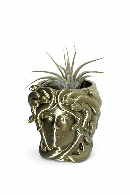 Magnetic Medusa Wall Planter | Enclosure Decor | Jumping Spiders