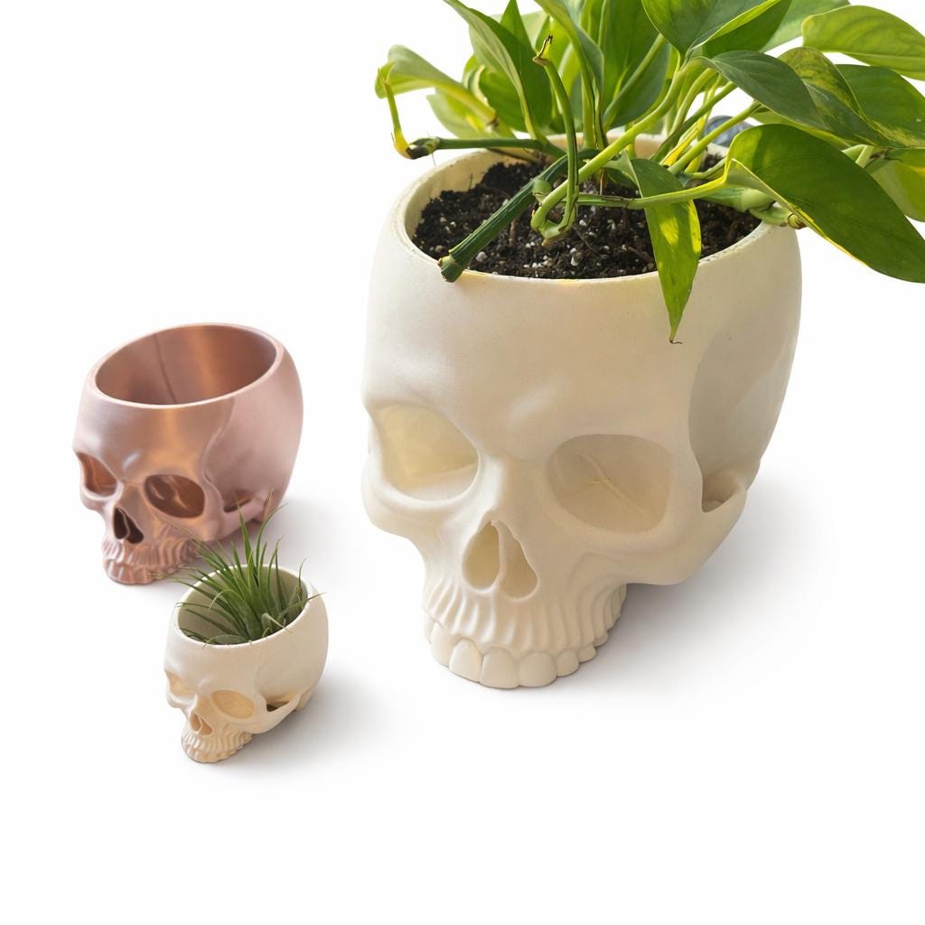 Skull Planter – 3D Printed - Inspired Decor