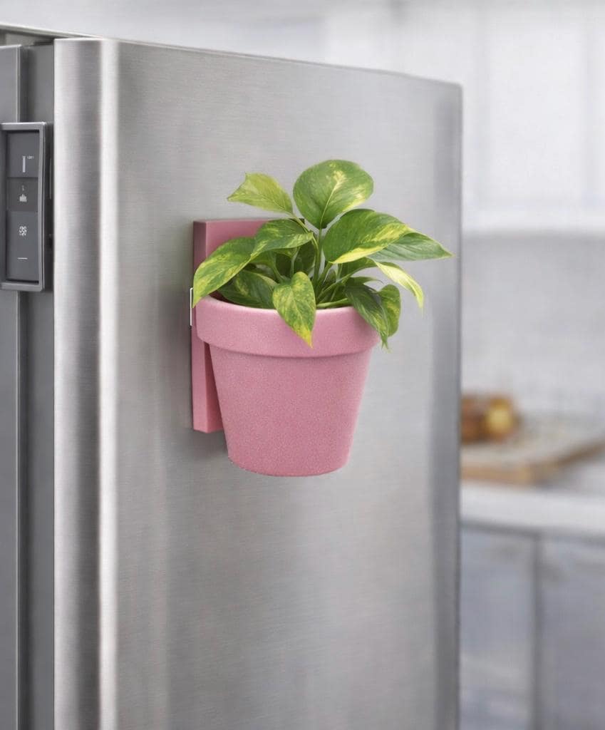 Wall Planter for Fridge | Magnetic | or any metal surface | Plant Add-ons