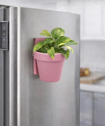 Wall Planter for Fridge | Magnetic | or any metal surface | Plant Add-ons
