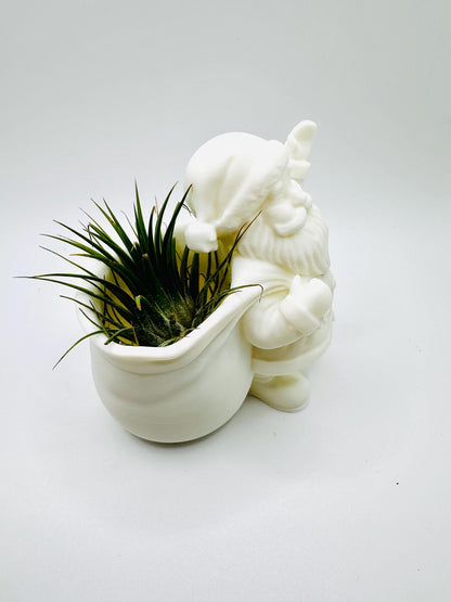 Santa Planter | Perfect for Air plants or Succulents