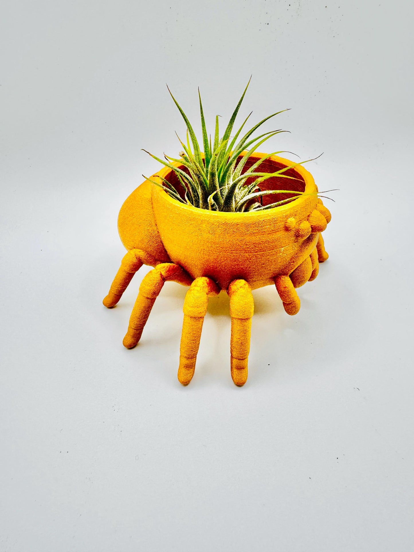 Jumping Spider Planter