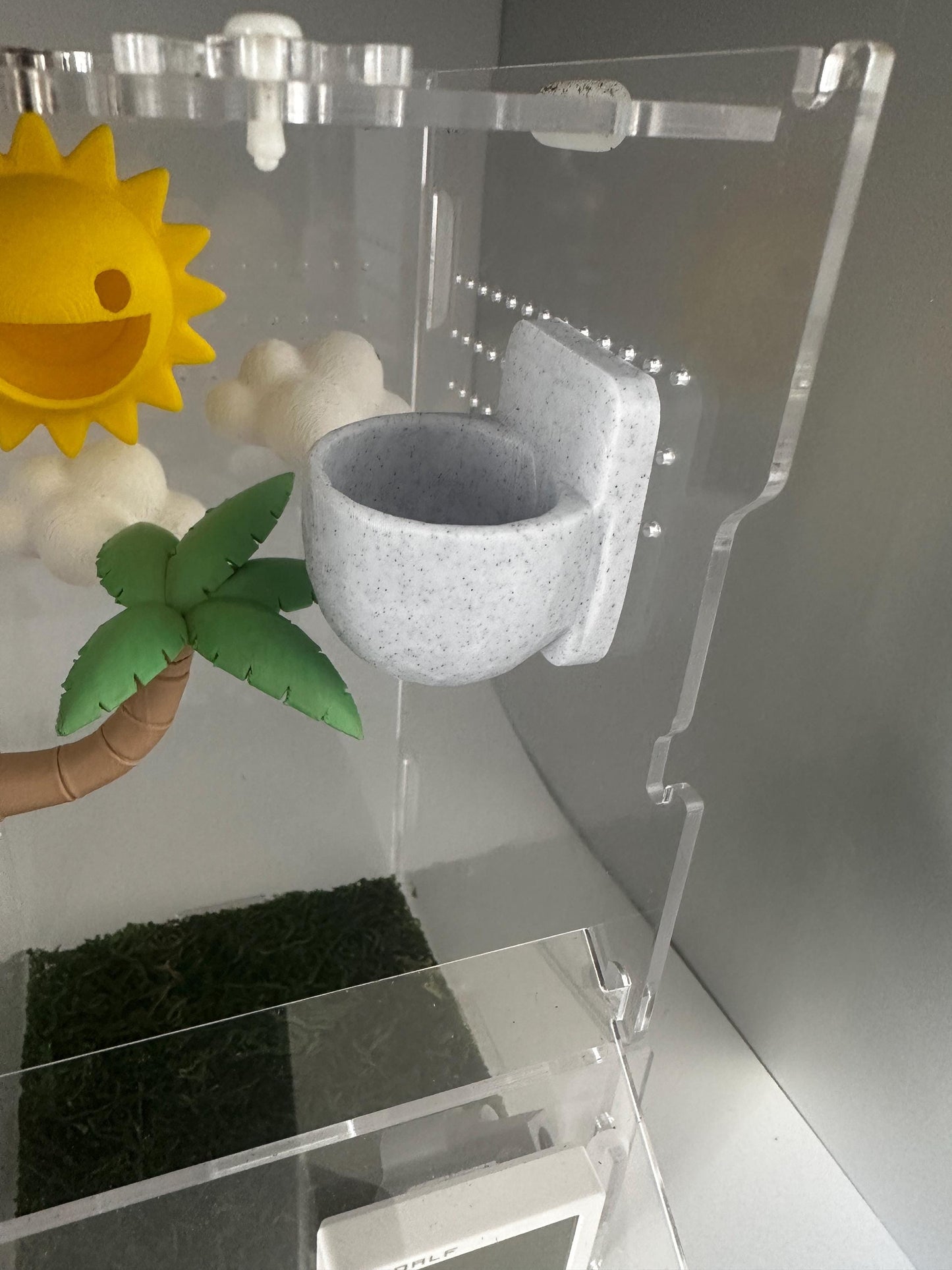 Magnetic Wall Planter | Pet decor | Enclosure Accessories | Jumping Spiders