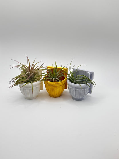 Greco-Roman Magnetic Wall Planter | Pet decor | Terrariums | Jumping Spider