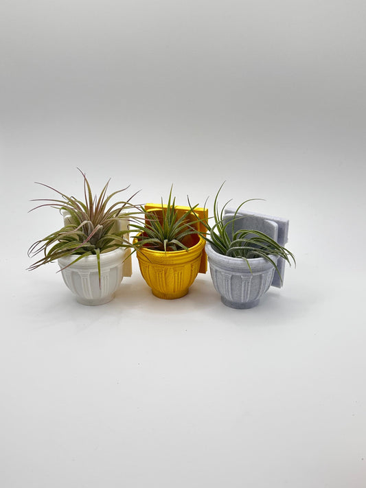 Greco-Roman Magnetic Wall Planter | Pet decor | Terrariums | Jumping Spider