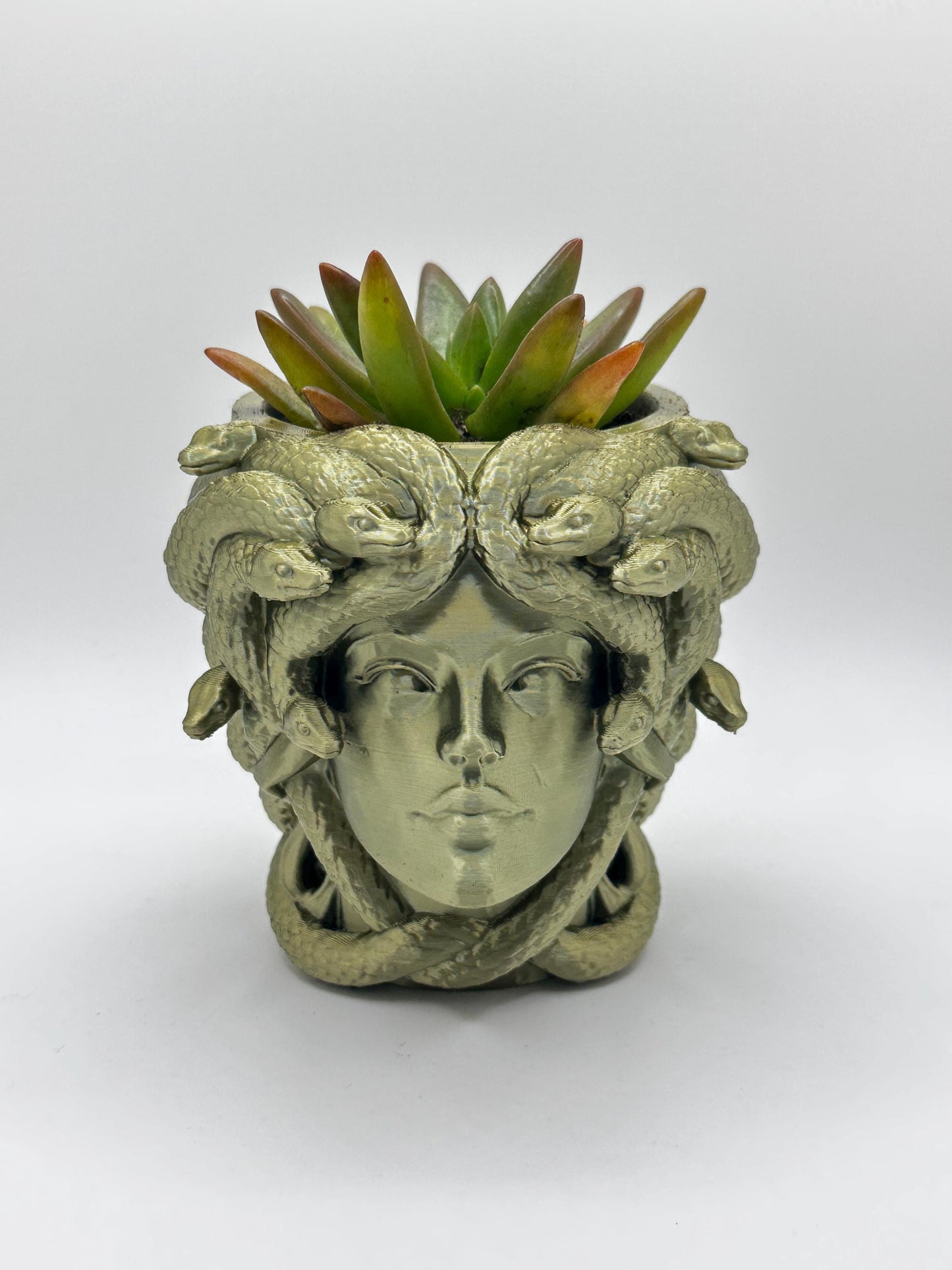 Medusa Head Planter – 3D Printed - Greek Mythology Inspired Decor