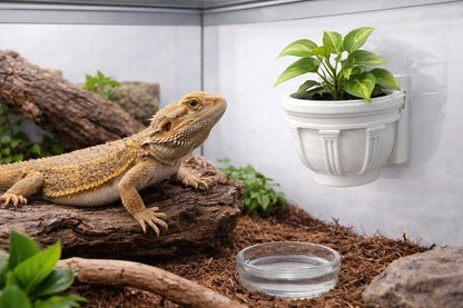 Magnetic Greek Wall Planter | sized for REPTILES & Larger Enclosures | Plant Add-ons