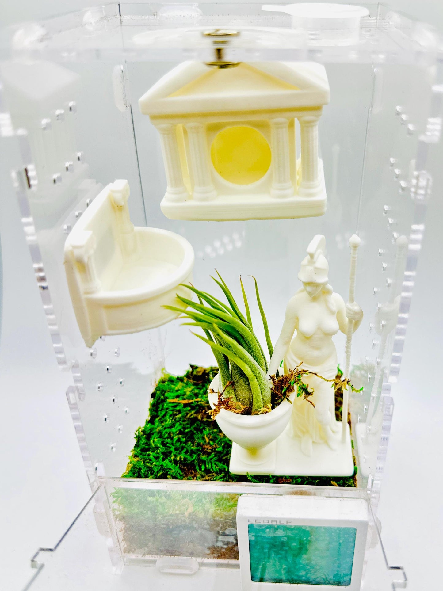 Ancient Greece Full Bundle Pack | Jumping Spiders | Spydeeverse