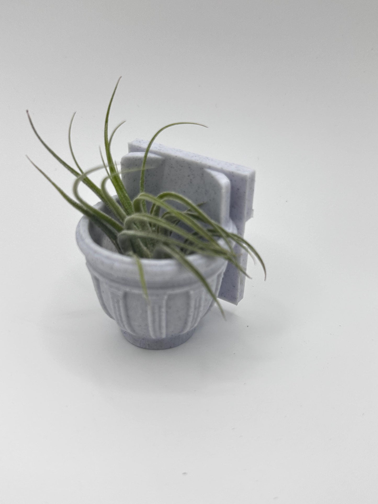 Greco-Roman Magnetic Wall Planter | Pet decor | Terrariums | Jumping Spider