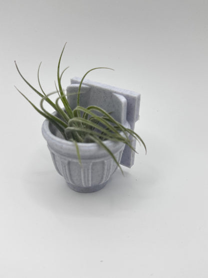 Greco-Roman Magnetic Wall Planter | Pet decor | Terrariums | Jumping Spider