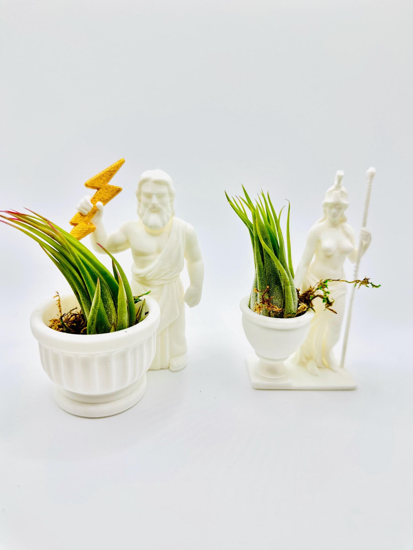 Ancient Greece Full Bundle Pack | Jumping Spiders | Spydeeverse