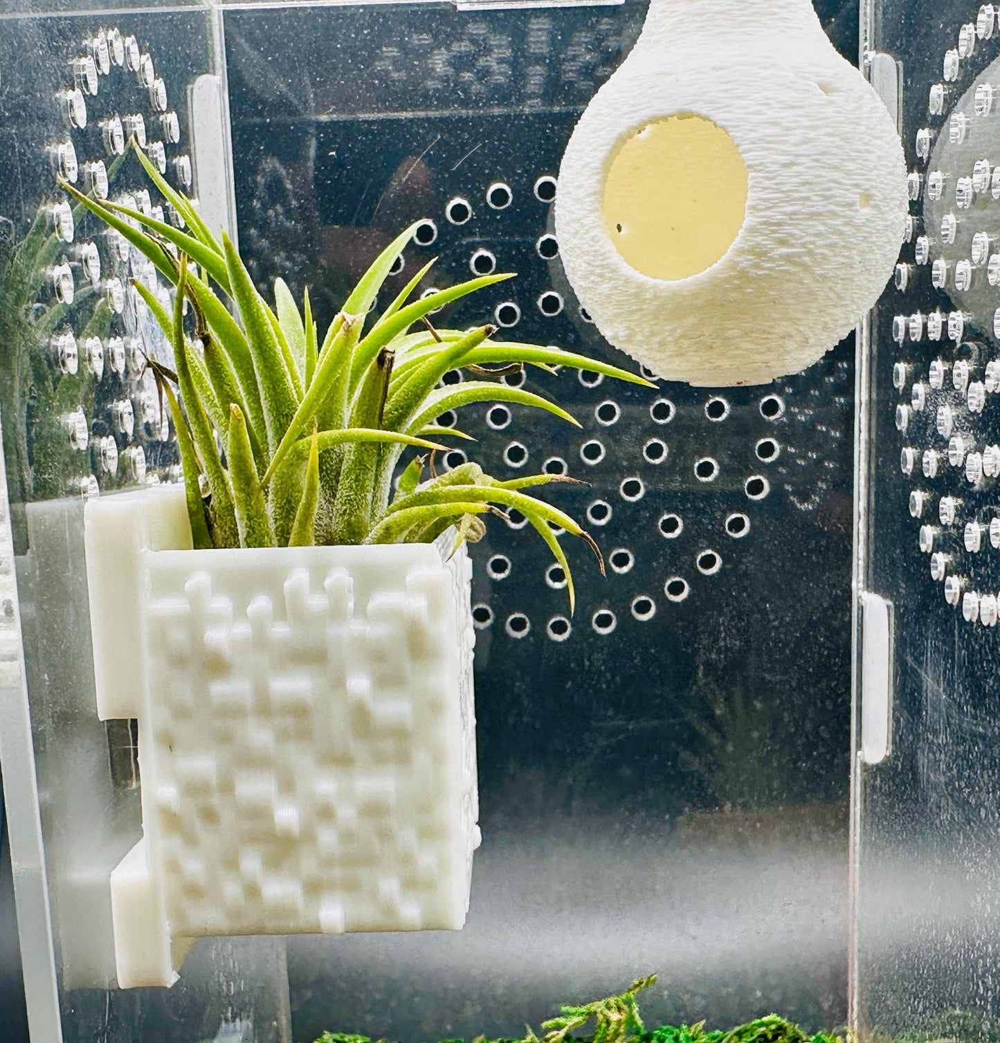 Cube Style Magnetic Wall Planter