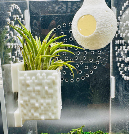 Cube Style Magnetic Wall Planter