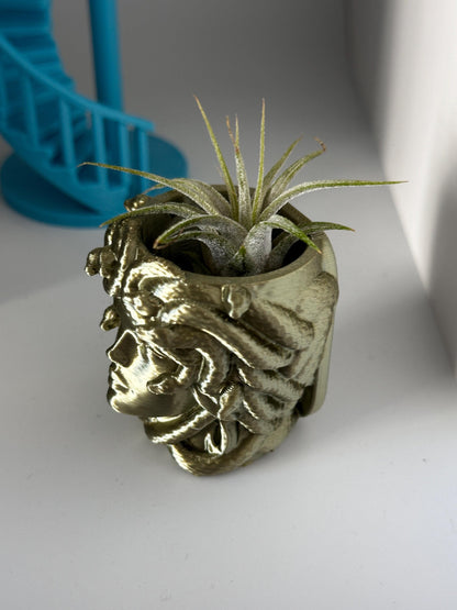 Magnetic Medusa Wall Planter | Enclosure Decor | Jumping Spiders