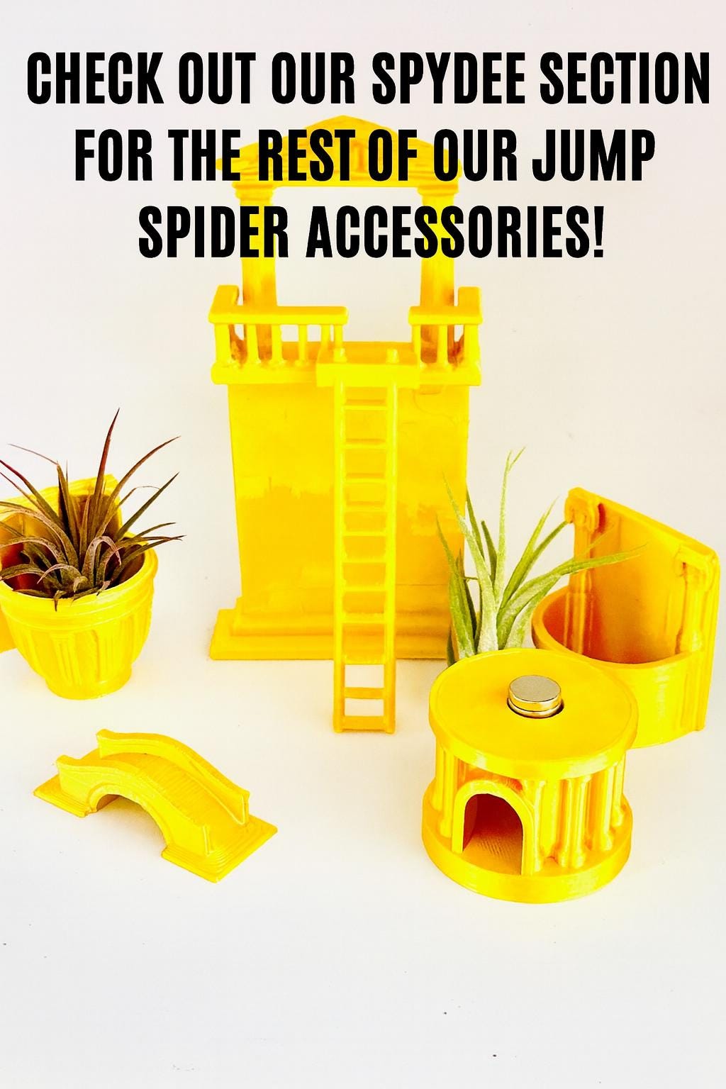 Greco-Roman Style Balcony Décor – Premium Jumping Spider & Small Pet Decor