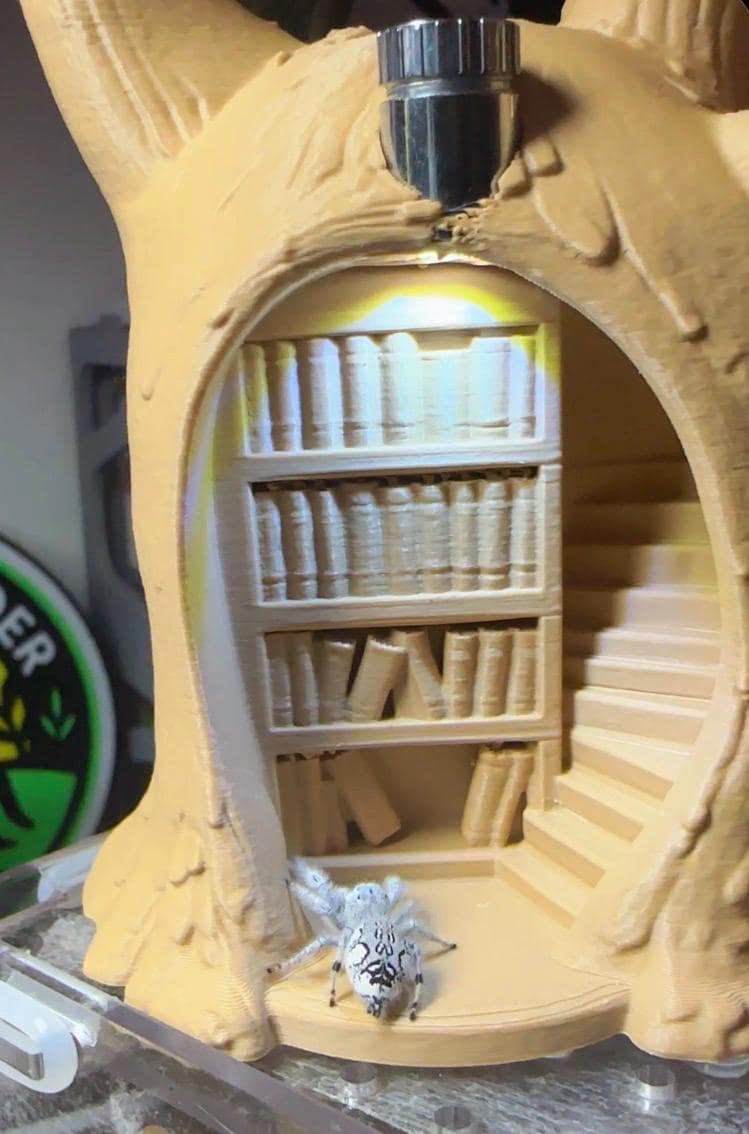 Library Treehouse with Lightbulb.