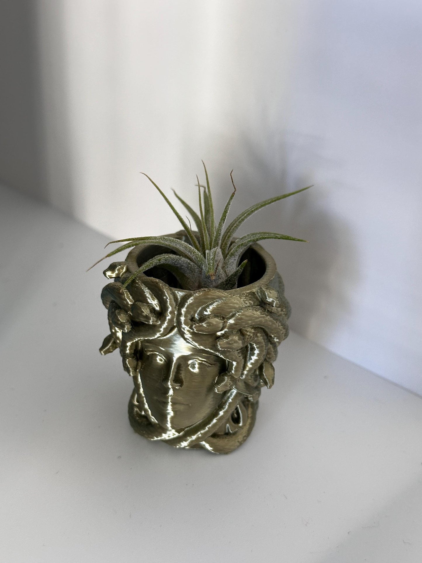 Magnetic Medusa Wall Planter | Enclosure Decor | Jumping Spiders
