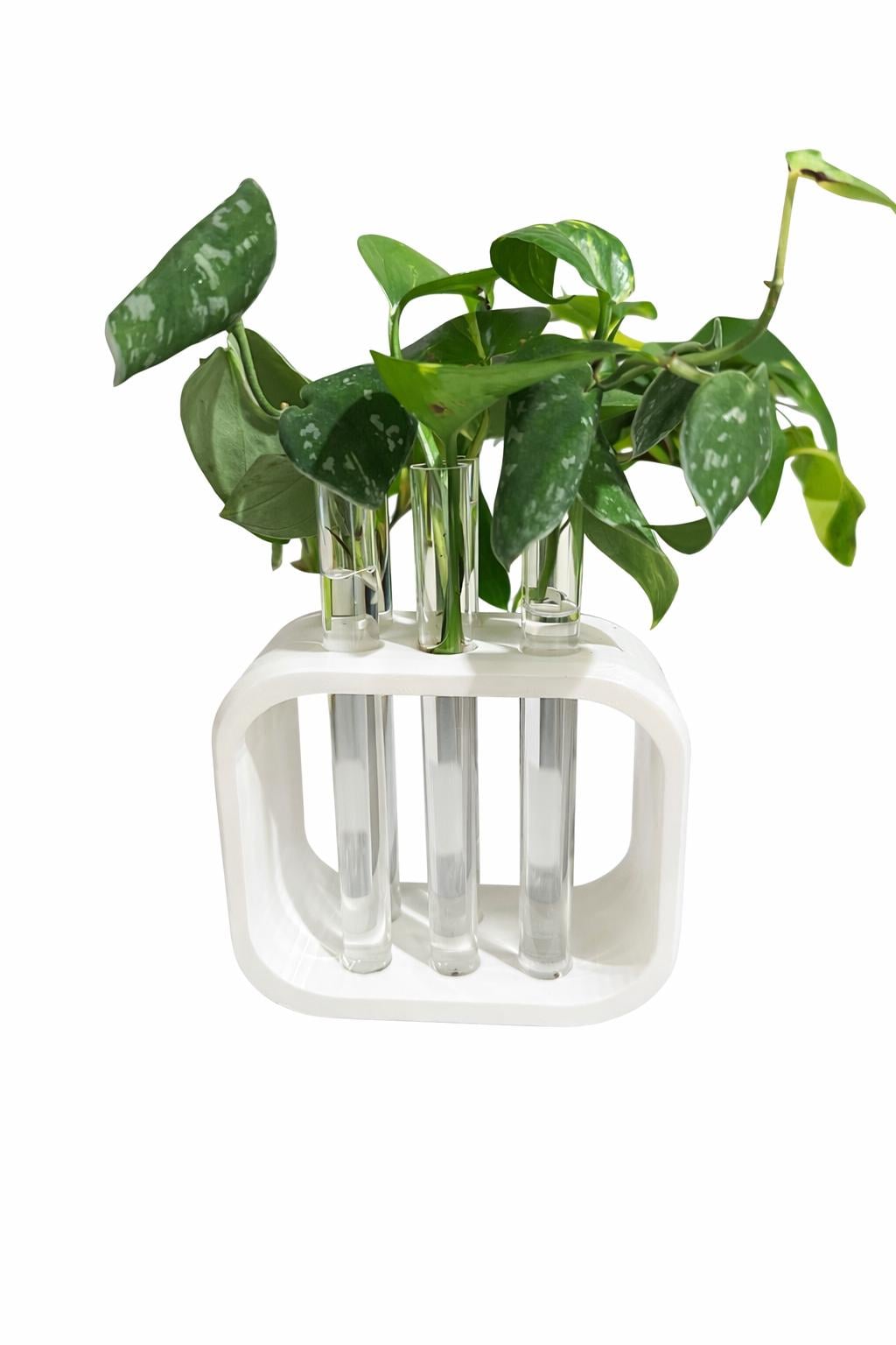 Modern Test Tube Propagation Station