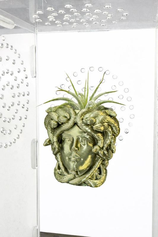 Magnetic Medusa Wall Planter | Enclosure Decor | Jumping Spiders