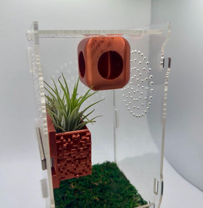 Cube Jumping Spider Hide | Magnetic Ceiling Pod