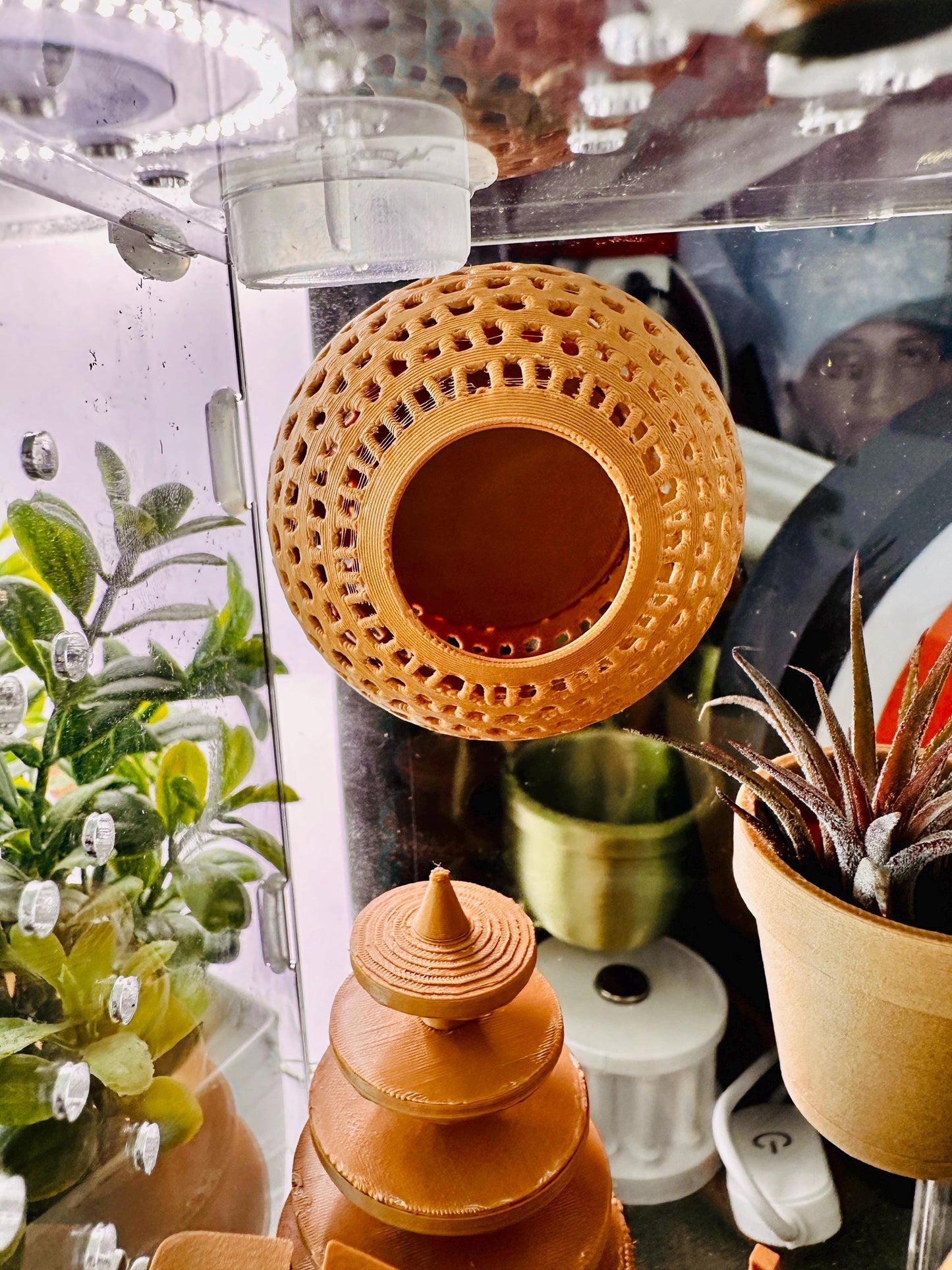 Premium Jumping Spider Hide | Magnetic Wall Pod
